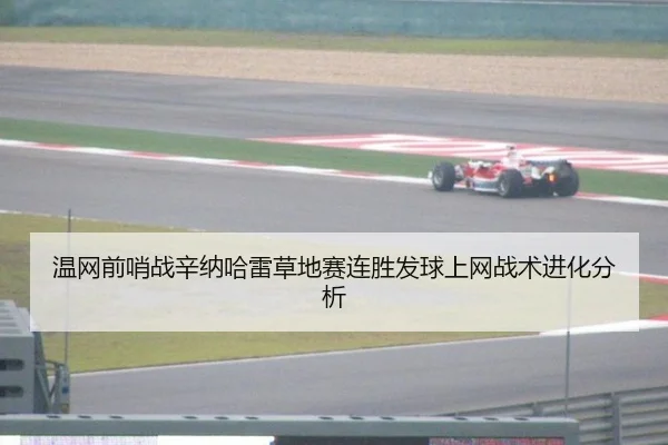 温网前哨战辛纳哈雷草地赛连胜发球上网战术进化分析